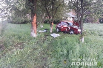 В Закарпатской области легковушка влетела в дерево: два человека погибли