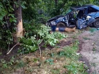 В Запорожской области автомобиль влетел в дерево. Погиб водитель (фото)