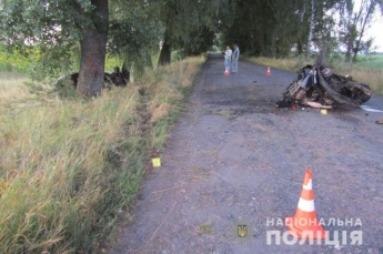 В Черниговской области легковушка влетела в дерево: погибли два человека