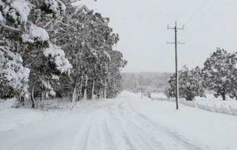 Австралию засыпало снегом (видео)