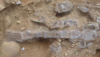 Мужчина нашел меч, которому 3 тыс. лет - находка поразила не только его (фото)