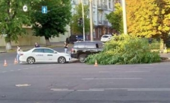 В Киеве авто на скорости влетело в столб и повалило дерево - последствия показали на фото