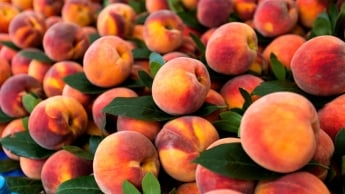 На грани фола - в Мелитополе на рынке от персиков отваживают покупателей (фото)