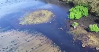 В Индийском океане образовалось большое нефтяное пятно - жуткие кадры экологического ЧП (видео)