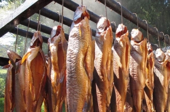 Смертельно опасную рыбу продают в одном из супермаркетов в Мелитополе (фото)