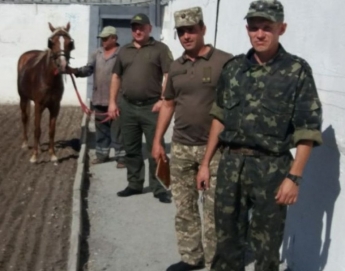 «Нет побегам»: в колонии Запорожской области с помощью коня искали подкопы