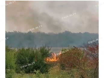 В Мелитополе за Горячкой горят дачные участки (фото, видео)