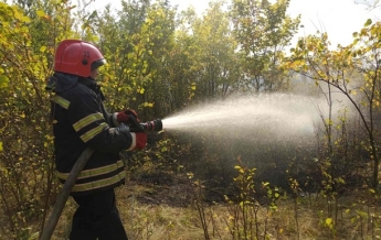 Спасатели на Луганщине тушат масштабный пожар (видео)