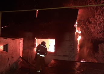 В селе под Мелитополем тушили пожар в частном доме (фото)