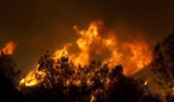 Калифорнию охватили пожары – видео напоминают пекло