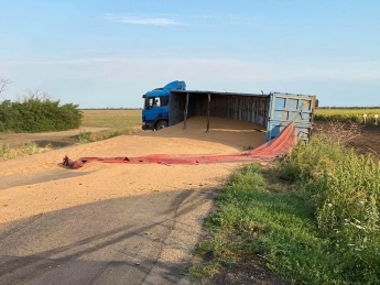 В Запорожской области пьяный водитель фуры попал в ДТП (фото, видео)