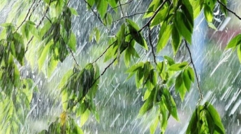 Прогноз погоды на 23 августа: где в Украине пройдут дожди