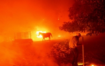 Трамп приказал оказать федеральную помощь Калифорнии из-за масштабных пожаров