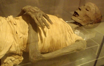 Ученые сделали рентген египетским мумиям и были потрясены - они хранят жуткую тайну