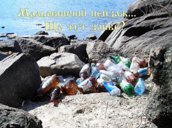 В Запорожье на Правобережном пляже появился остров мусора (видео)