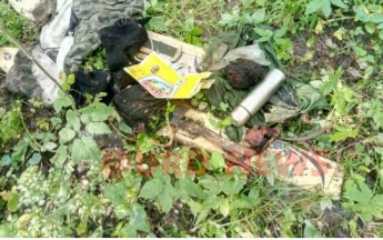 В России медведь растерзал человека и съел - очевидцы увидели страшную картину (фото)