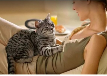 Почему кошки мнут человека лапками перед тем, как лечь на него