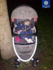 В Киеве пьяная женщина потеряла младенца в парке и забыла о нем