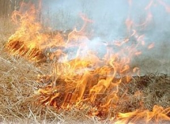 В Мелитополе из-за сухой травы едва не загорелся дом
