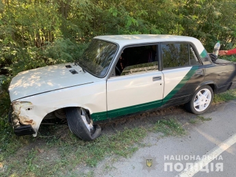 В Запорожской области мужчина угнал автомобиль и попал в ДТП