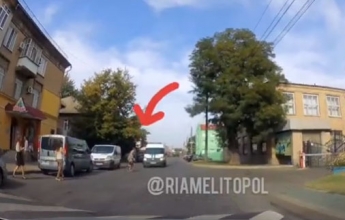 В Мелитополе по дорогам бегают самоубийцы (видео)