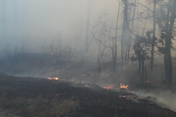 На Луганщине старшина ВСУ погиб во время ликвидации пожара, его считали без вести пропавшим (Фото)