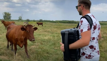 Курьёз: в Запорожской области музыкант устроил концерт для коров (ВИДЕО)