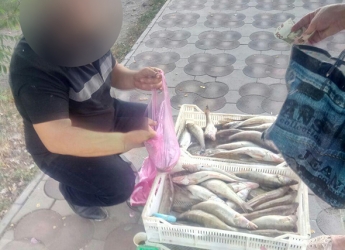 В Мелитополе мужчина торговал рыбой без документов