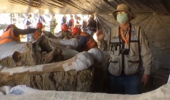 В Мексике на стройке нашли сотни скелетов мамонтов (видео)