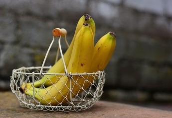 Чому не варто відмовлятися від бананів навіть під час дотримання дієти