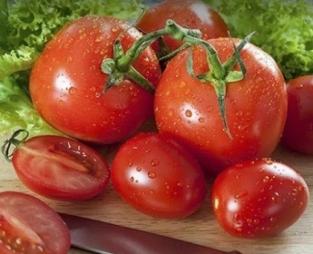 Почему врачи не советуют есть помидоры каждый день