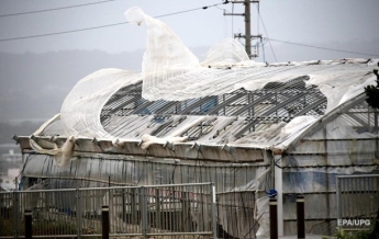 В Японии из-за тайфуна 50 тысяч человек предупредили об эвакуации