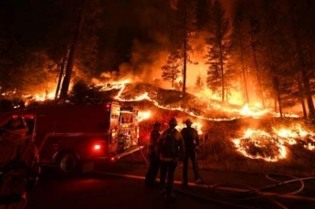 Площадь лесных пожаров в Калифорнии побила исторический рекорд