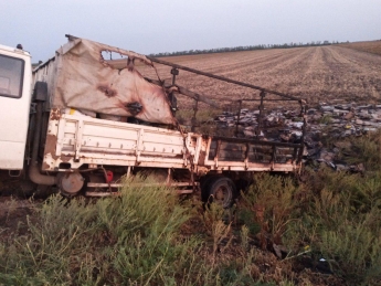 На запорожской трассе загорелся грузовик (фото)