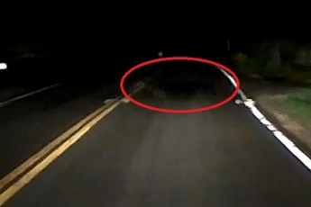 Водитель сбил ночью загадочное существо: видео озадачило даже "охотников за привидениями"