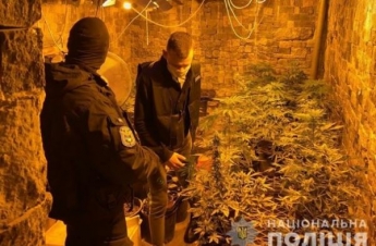 На Житомирщине полиция изъяла у наркодилера три килограмма марихуаны