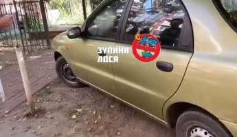 В Украине радикально наказали "героя парковки": водителю придется потратиться, видео