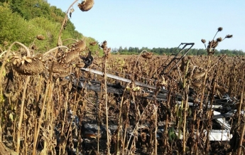 В Сумской области разбился самолет, есть жертвы (фото)