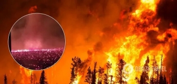 Лесные пожары в Калифорнии вызвали огненный смерч (Видео)