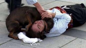 Бездомный пес прервал съемки, спасая актера - ведь он не знал, что это всего лишь роль (видео)