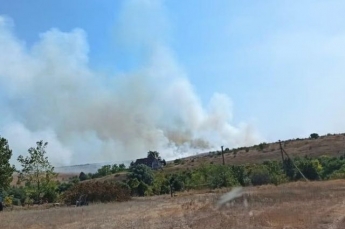 В Николаевской области произошел масштабный пожар: горит заповедник