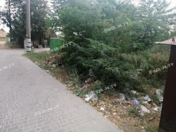 Свинарник в центре Мелитополя развели жители общаги (фото)