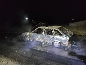 В Запорожской области загорелся автомобиль (фото)