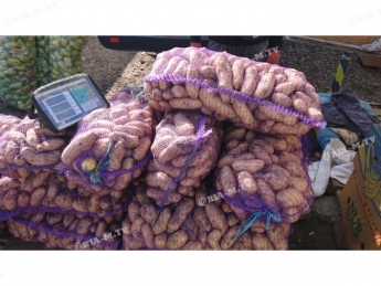 Делаем запасы на зиму - сколько сейчас картофель, лук и морковь на оптовом рынке стоят (фото)