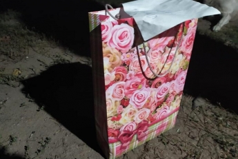 В Житомирской области кандидату на должность главы ОТГ подбросили подарок со «взрывчаткой» (фото)