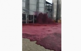 В Испании территорию завода затопило вином (видео)