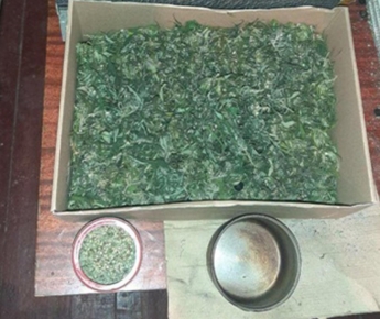 У жителя Запорожья полицейские изъяли более 3 кг наркотиков (фото)