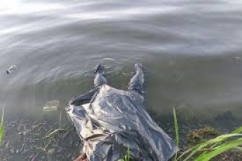 В Запорожье в реке нашли труп