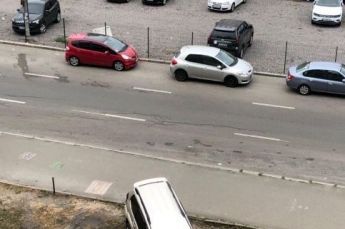 Полупустая стоянка не подходит: в сети показали фото жадного "героя парковки"