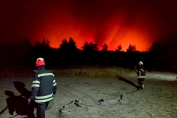 Горит со всех сторон, срочно нужны самолеты - житель Северодонецка о пожарах